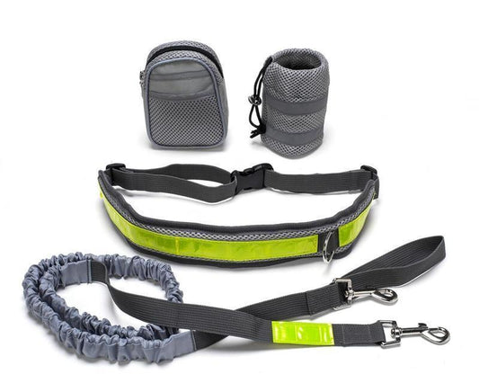 Hands-Free Bungee Dog Leash