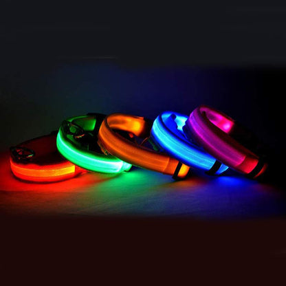 GlowGuard Collar