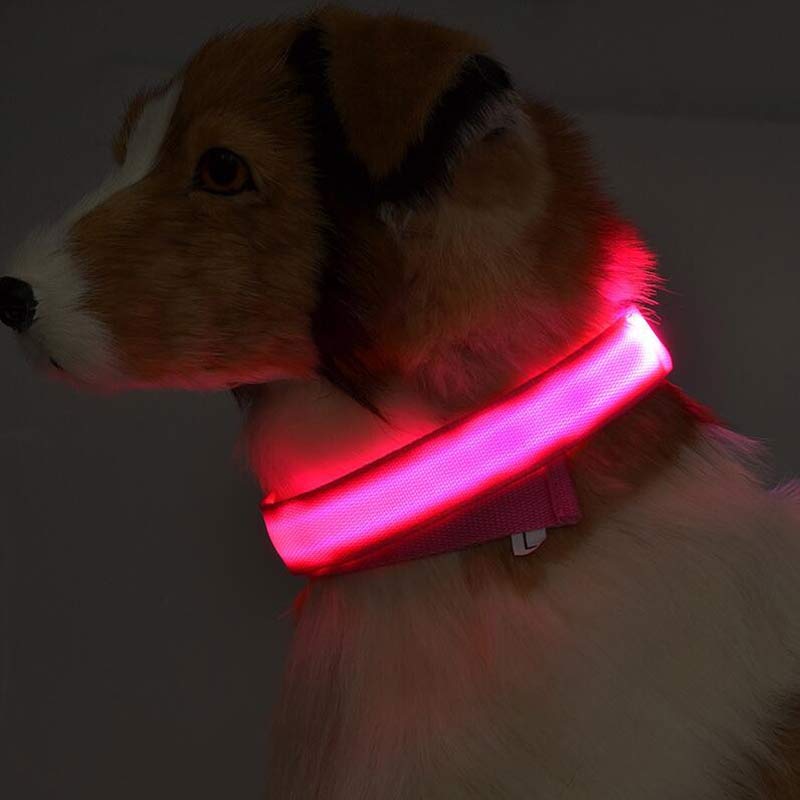 GlowGuard Collar