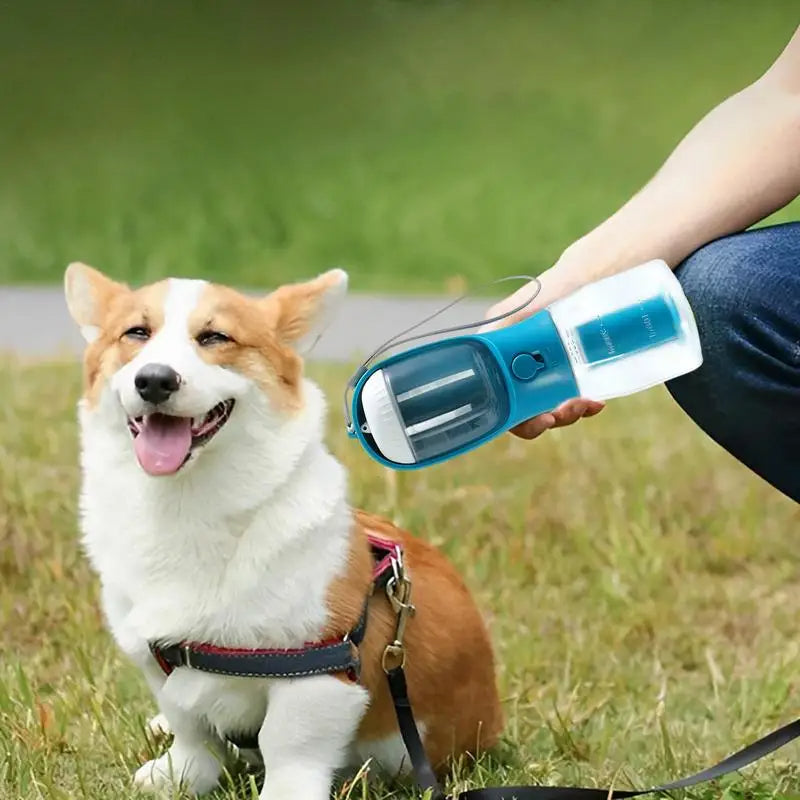 3-in-1 Pet Bottle